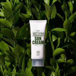 DERMA FACTORY Houttuynia Cordata 65% Sunscreen 50g