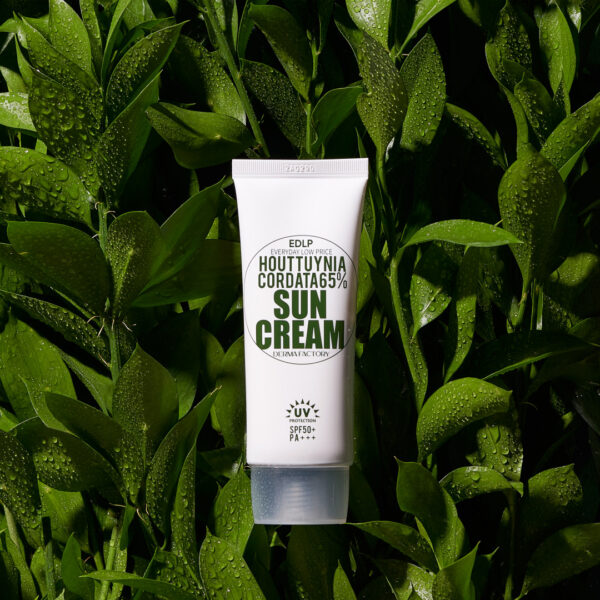 DERMA FACTORY Houttuynia Cordata 65% Sunscreen 50g