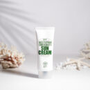 DERMA FACTORY Houttuynia Cordata 65% Sunscreen 50g
